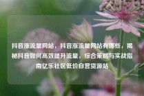 抖音涨流量网站，抖音涨流量网站有哪些，揭秘抖音如何高效提升流量，综合策略与实战指南亿乐社区低价自营货源站