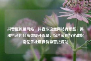 抖音涨流量网站，抖音涨流量网站有哪些，揭秘抖音如何高效提升流量，综合策略与实战指南亿乐社区低价自营货源站