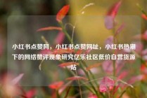 小红书点赞网，小红书点赞网址，小红书热潮下的网络赞评现象研究亿乐社区低价自营货源站