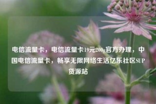 电信流量卡，电信流量卡19元200g官方办理，中国电信流量卡，畅享无限网络生活亿乐社区SUP货源站