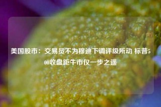 美国股市：交易员不为穆迪下调评级所动 标普500收盘距牛市仅一步之遥