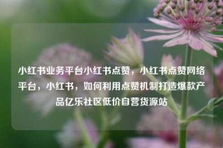 小红书业务平台小红书点赞，小红书点赞网络平台，小红书，如何利用点赞机制打造爆款产品亿乐社区低价自营货源站