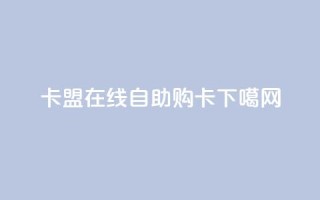 91卡盟：在线自助购卡