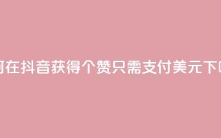 如何在抖音获得100个赞，只需支付1美元