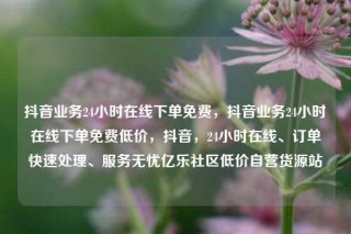 抖音业务24小时在线下单免费，抖音业务24小时在线下单免费低价，抖音，24小时在线、订单快速处理、服务无忧亿乐社区低价自营货源站