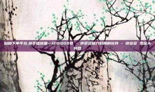 自助下单平台,快手播放量一分10000赞 - 拼多多助力好用的软件 - 拼多多 现金大转盘