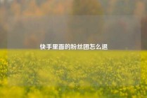 快手里面的粉丝团怎么退