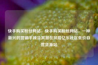 快手购买粉丝网站，快手购买粉丝网站，一种新兴的营销手段及其潜在风险亿乐社区低价自营货源站
