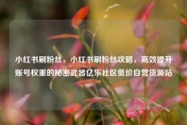 小红书刷粉丝，小红书刷粉丝攻略，高效提升账号权重的秘密武器亿乐社区低价自营货源站