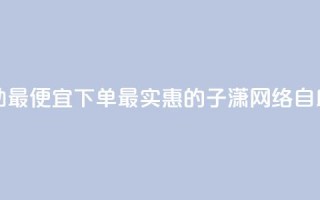 子潇网络自助最便宜下单(最实惠的子潇网络自助下单)