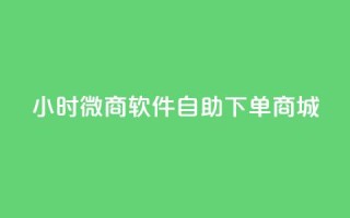 24小时微商软件自助下单商城 - 24小时自助下单微商商城软件推荐！
