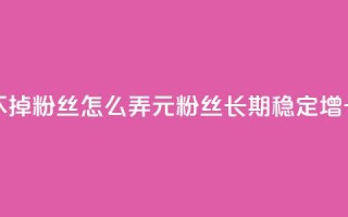 1元3000粉丝不掉粉丝怎么弄(1元3000粉丝长期稳定增长)