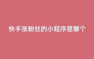 快手涨粉丝的小程序是哪个,彩虹自助下单24 - 抖音业务下单点赞24小时 - qq空间访问刷人气网站