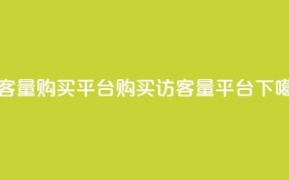 QQ访客量购买平台(购买QQ访客量平台)