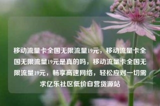 移动流量卡全国无限流量19元，移动流量卡全国无限流量19元是真的吗，移动流量卡全国无限流量19元，畅享高速网络，轻松应对一切需求亿乐社区低价自营货源站