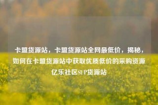卡盟货源站，卡盟货源站全网最低价，揭秘，如何在卡盟货源站中获取优质低价的采购资源亿乐社区SUP货源站