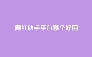 网红助手平台哪个好用,卡盟低价自助下单网易云 - 拼多多自动砍刀助力软件 - 闲鱼上可以卖拼多多的货吗