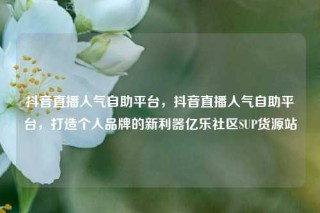 抖音直播人气自助平台，抖音直播人气自助平台，打造个人品牌的新利器亿乐社区SUP货源站