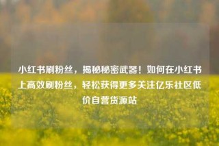 小红书刷粉丝，揭秘秘密武器！如何在小红书上高效刷粉丝，轻松获得更多关注亿乐社区低价自营货源站