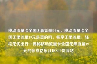 移动流量卡全国无限流量19元，移动流量卡全国无限流量19元是真的吗，畅享无限流量，轻松无忧出行—揭秘移动流量卡全国无限流量19元的惊喜亿乐社区SUP货源站