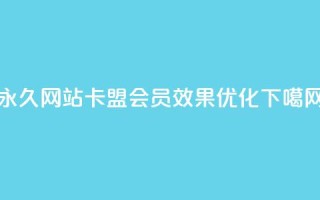 永久网站卡盟会员效果优化