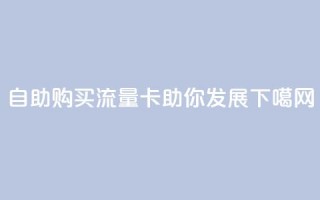 自助购买流量卡助你发展