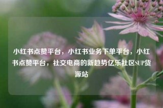 小红书点赞平台，小红书业务下单平台，小红书点赞平台，社交电商的新趋势亿乐社区SUP货源站