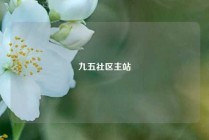 九五社区主站