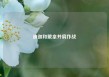 迪迦和戴拿并肩作战