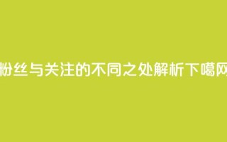 粉丝与关注的不同之处解析