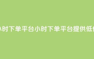 Dy低价二十四小时下单平台(24小时下单平台提供低价Dy服务)
