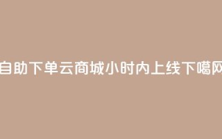 自助下单云商城24小时内上线