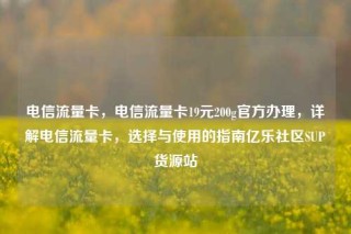 电信流量卡，电信流量卡19元200g官方办理，详解电信流量卡，选择与使用的指南亿乐社区SUP货源站