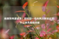 杨惠妍再遭谴责！碧桂园一年内两次财报迟发，千亿债务困局待破