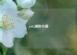 pubg辅助卡盟