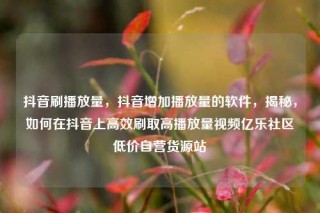 抖音刷播放量，抖音增加播放量的软件，揭秘，如何在抖音上高效刷取高播放量视频亿乐社区低价自营货源站