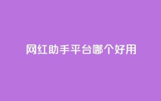 网红助手平台哪个好用,彩虹云自助下单商城 - KS低价真人双击 - 斗鱼主播人气怎么提高