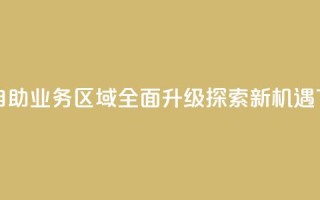 快手自助业务区域全面升级探索新机遇