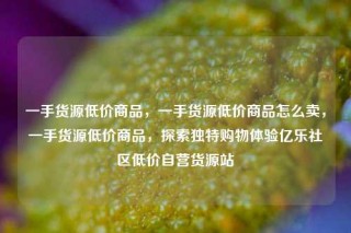 一手货源低价商品，一手货源低价商品怎么卖，一手货源低价商品，探索独特购物体验亿乐社区低价自营货源站