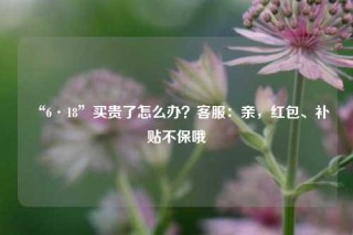 “6·18”买贵了怎么办？客服：亲，红包、补贴不保哦