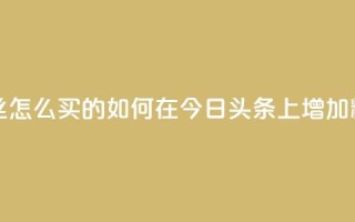 今日头条粉丝怎么买的(如何在今日头条上增加粉丝数)