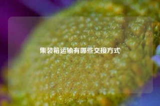 集装箱运输有哪些交接方式