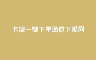 卡盟一键下单通道