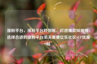 涨粉平台，涨粉平台秒到账，打造爆款短视频，选择合适的涨粉平台至关重要亿乐社区SUP货源站