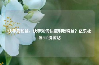 快手刷粉丝，快手如何快速刷取粉丝？亿乐社区SUP货源站