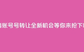 抖音账号75号转让：全新机会等你来抢