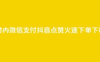 24小时内微信支付，抖音点赞火速下单