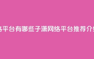 子潇网络平台有哪些(子潇网络平台推荐介绍)