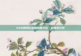 24小时网红自助购物平台：购物不打烊