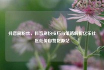 抖音刷粉丝，抖音刷粉技巧与策略解析亿乐社区低价自营货源站